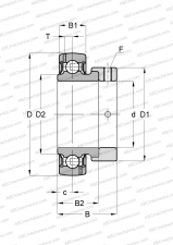 Series GRA..-NPP-B-AS2/V(INA), seals on both side, 2 lubrication hole offset on both side, inch size