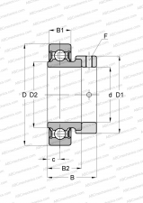 Series RAE..-NPP(INA), seals on both side, with special requirements for noise