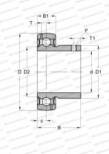 Series GAY..-NPP-B-AS2/V(INA), seals on both side, 2 lubrication hole offset on both side, inch size