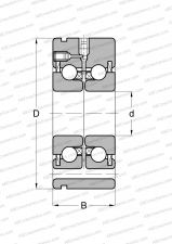 Series BSF, with flange, lip seals on both side (NSK)