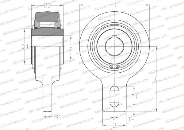 Подшипник REGV20 RENOLD